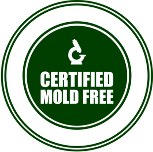 Mold Remediation Services In Davie,FL