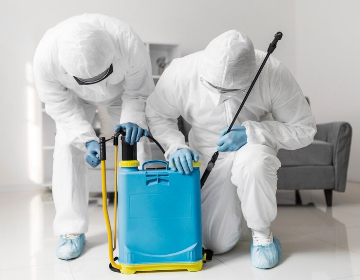 Best Mold Cleaning Service in Southeast Florida